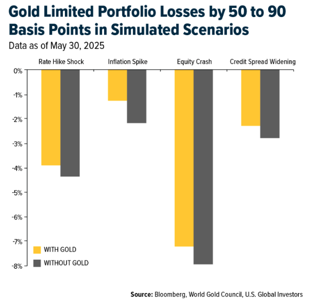 gold limited portfolio