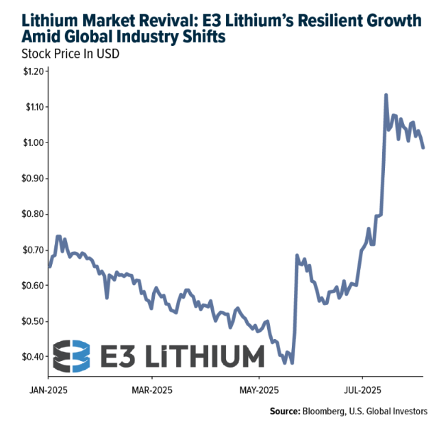 lithium market