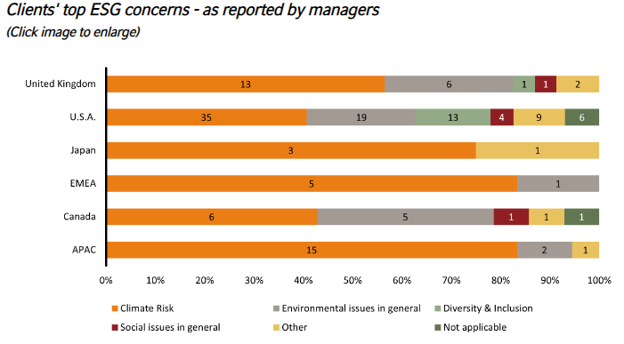 Clients' top ESG concerns - as reported by managers