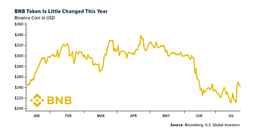 BNB Token Is Little Changed This Year