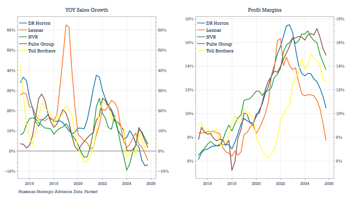 YOY sales and Profit margins grapsh