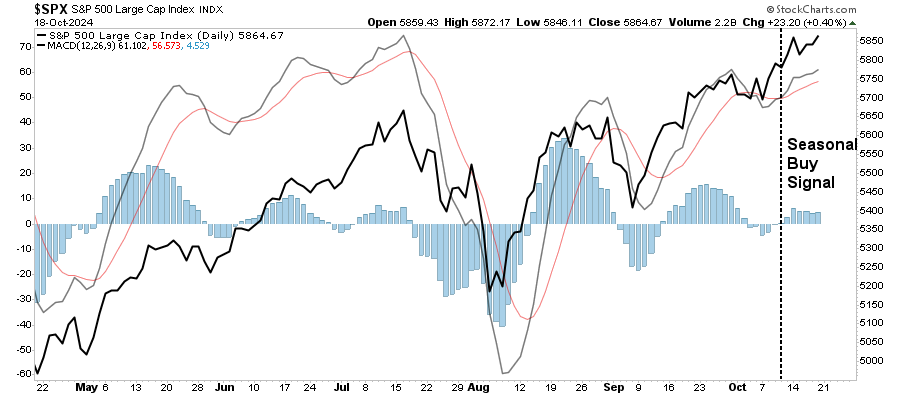 S&P 500 large cap index