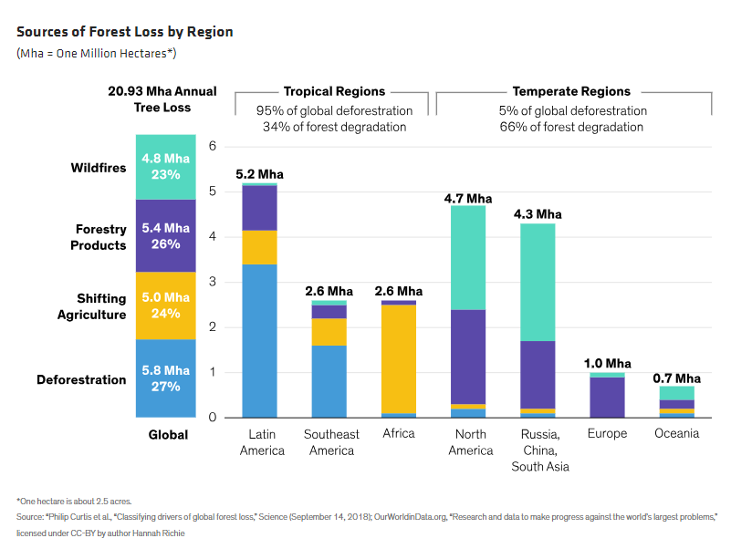Sources of Forest Loss by Region