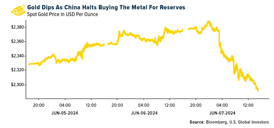 gold dips