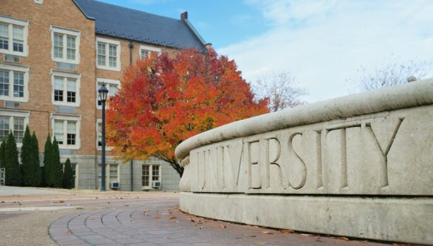 university