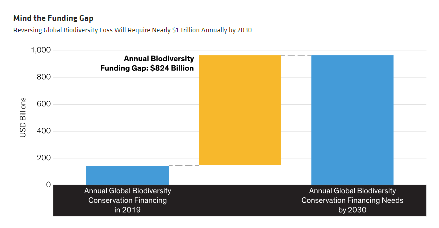 Minding the Funding Gap