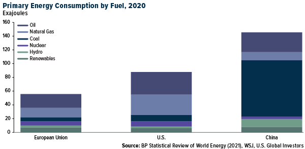 Primary Energy Consumption by Fuel, 2020