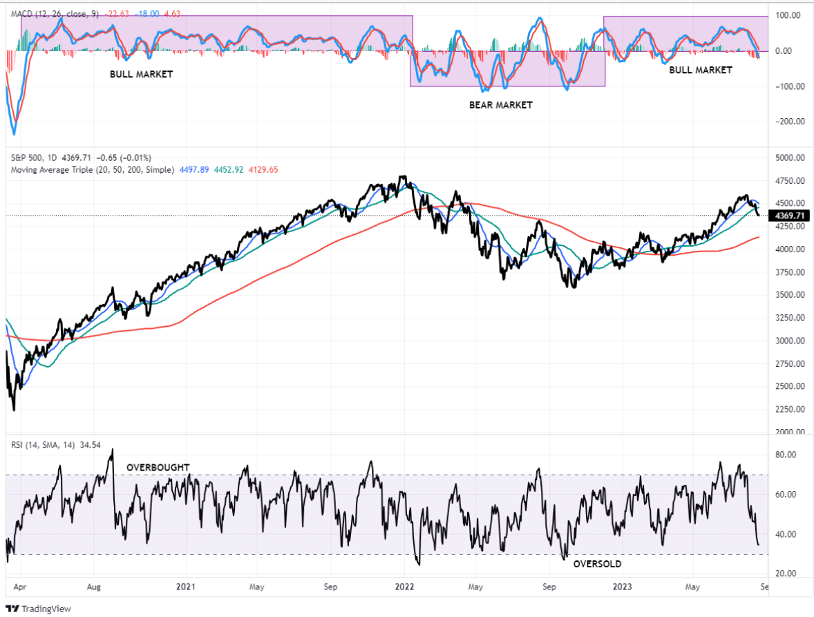 bear bull market